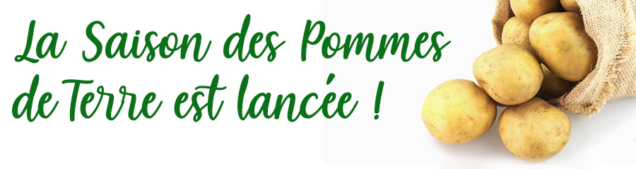 bandeau pommes de terre