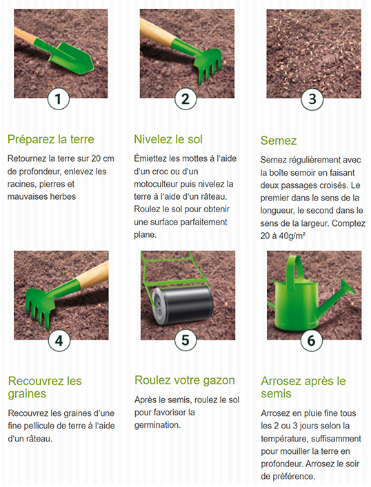 schema plantation gazon