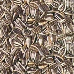 Tournesol strié 15kg