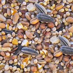 Oiseaux du ciel 5kg