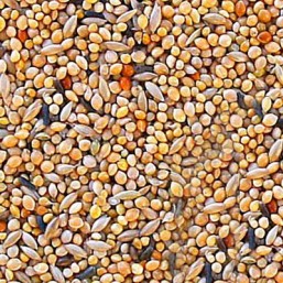Exotique 1kg