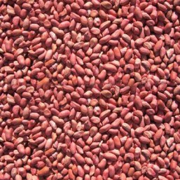 Arachides pelées 1kg