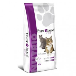 Everland chats