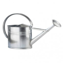 Arrosoir Zinc