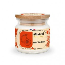 Bougie nectarine