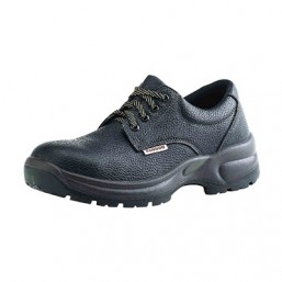 Miami bas 39-46