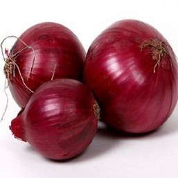 Oignons rouges 14/21