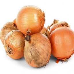 Oignons Sturon