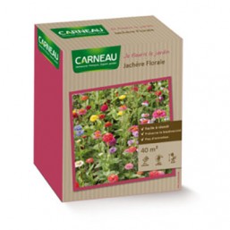 Jachère florale