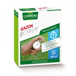 Gazon pelouse express