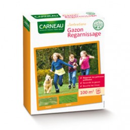 Gazon regarnissage sport