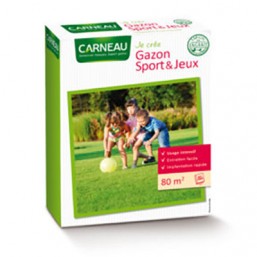 Gazon sport et jeux
