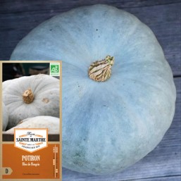 Potiron