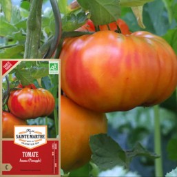 Tomate FDSM