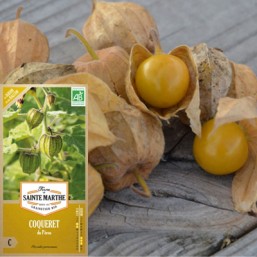 Coqueret 
