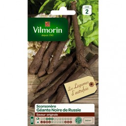 Scorsonere V
