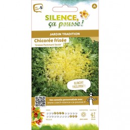 Chicoree Frisee SCP