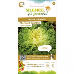 Chicoree Scarole SCP