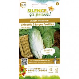 Chicoree à Feuilles SCP