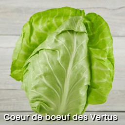 Chou Cabus ET