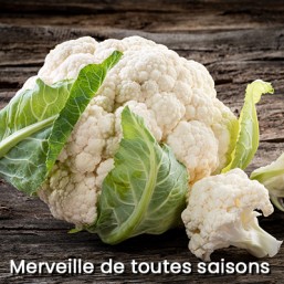Chou Fleur ET