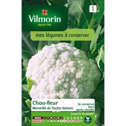 Chou Fleur V