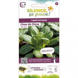 Chou de Chine SCP