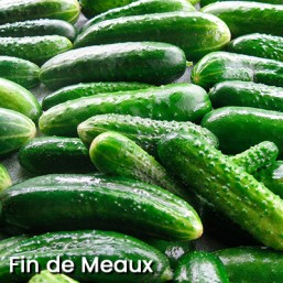 Cornichon ET