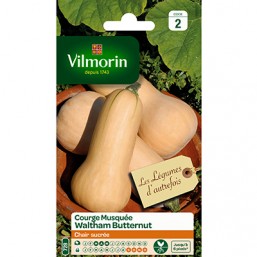 Courge V