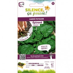 Epinard SCP
