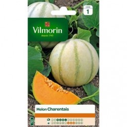 Melon V