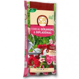 Terreau Géran. + Dipladenias 