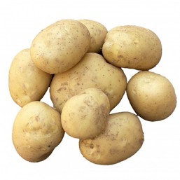 Variété Étincelle