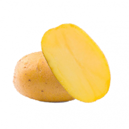 Variété Goldmarie