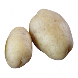 Variété Marabel