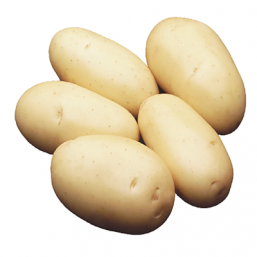 Variété Monalisa
