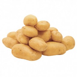 Variété Ratte