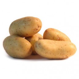 Variété Bernadette