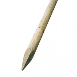 Piquets N