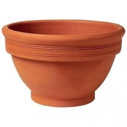 Coupe campana 24cm