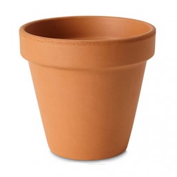 Pot standard 10cm
