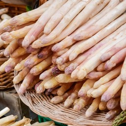 Asperge Argenteuil
