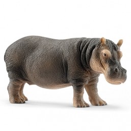 Hippopotame