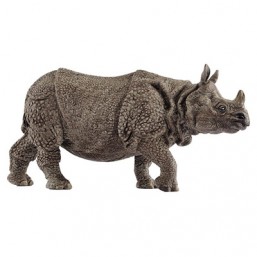 Rhinocéros indien