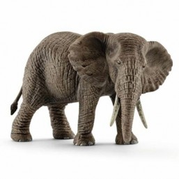 Éléphant d'Afrique femelle