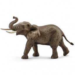 Éléphant d'Afrique mâle