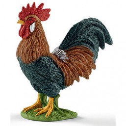 Coq