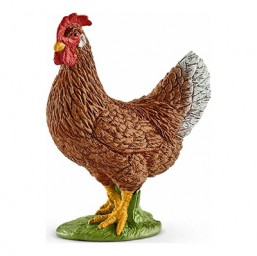 Poule