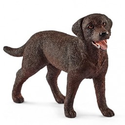 Labrador Retriever, femelle