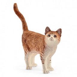 Chat